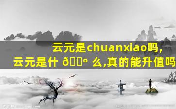 云元是chuanxiao
吗,云元是什 🌺 么,真的能升值吗